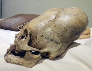 Tengkorak Memanjang Tahun 1928 dari Peradaban Paracas Kuno
